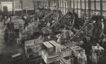Trabajadores de proceso en el trabajo en la fábrica de conservas Golden Circle en Northgate, Australia.